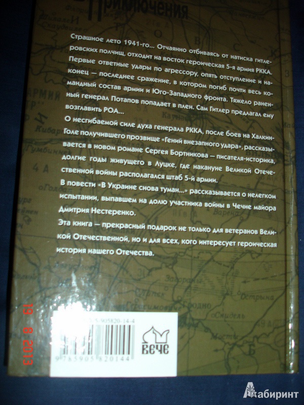 Иллюстрация 8 из 8 для Путь командарма - Сергей Бортников | Лабиринт - книги. Источник: Kassavetes