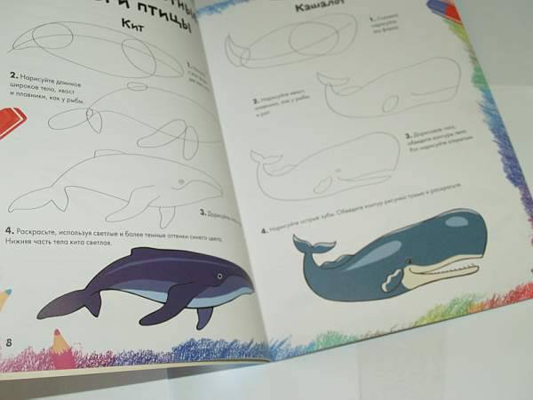 Иллюстрация 10 из 36 для Рисуем морских животных, рыб и птиц | Лабиринт - книги. Источник: Cовушка