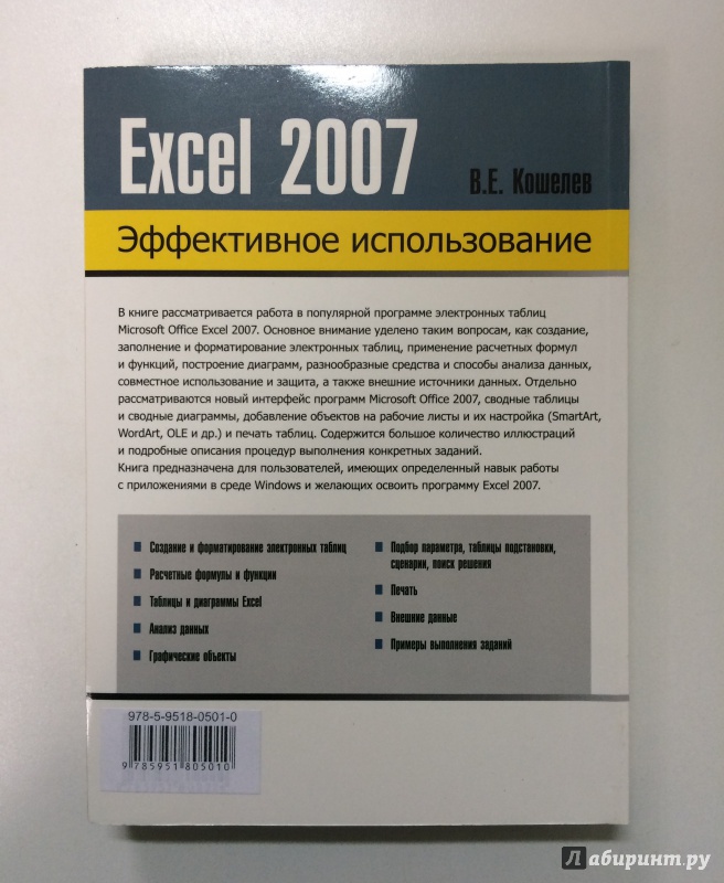 Иллюстрация 3 из 5 для Электронные таблицы Excel 2007 - Вячеслав Кошелев | Лабиринт - книги. Источник: K@nfetka