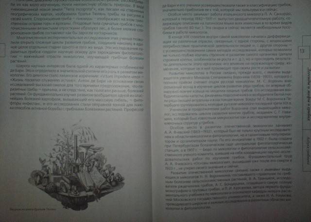 Иллюстрация 2 из 11 для Азбука грибника - Лидия Гарибова | Лабиринт - книги. Источник: Настёна
