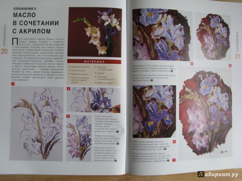Иллюстрация 14 из 17 для Рисуем цветы. Экспресс - курс - Myriam Ferron | Лабиринт - книги. Источник: Sova