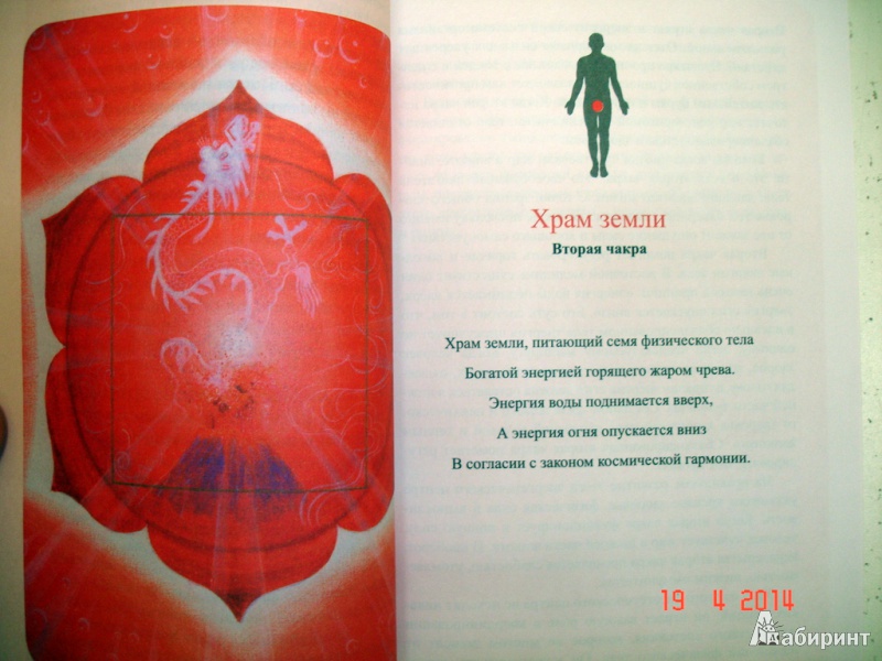 Иллюстрация 6 из 8 для Исцеление чакр - Ильчи Ли | Лабиринт - книги. Источник: Kassavetes