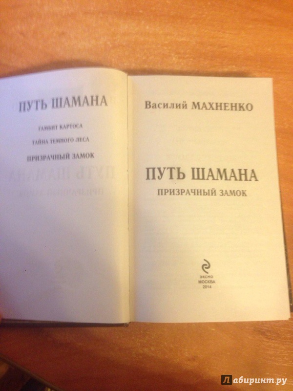 Иллюстрация 3 из 14 для Путь Шамана. Призрачный замок - Василий Маханенко | Лабиринт - книги. Источник: Никонов Даниил