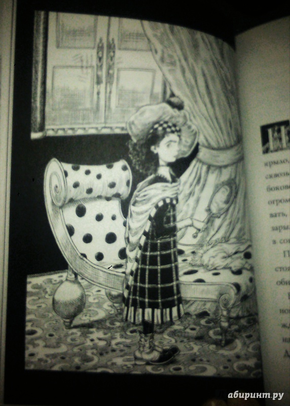 Иллюстрация 24 из 33 для Юная леди Гот и призрак мышонка - Крис Ридделл | Лабиринт - книги. Источник: Buklya