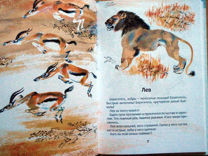 Иллюстрация 4 из 10 для Моя первая зоология - Евгений Чарушин | Лабиринт - книги. Источник: beet