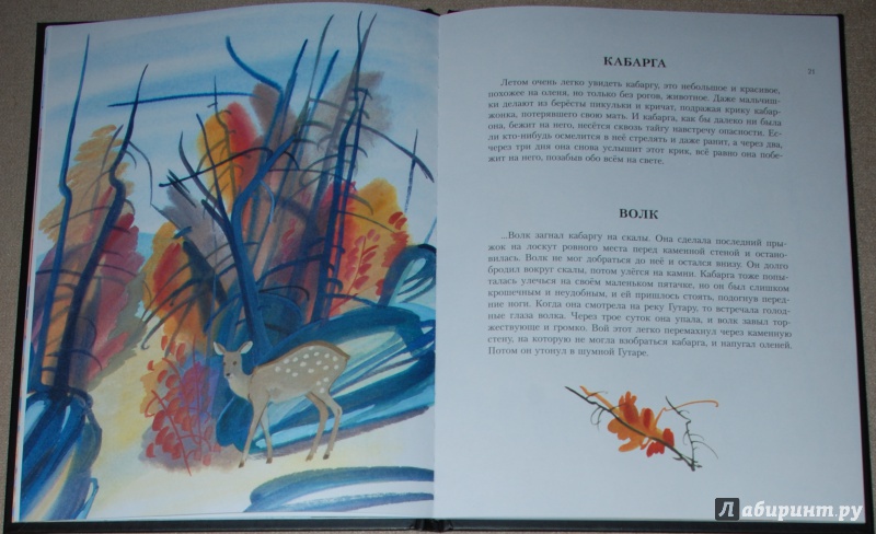 Иллюстрация 17 из 23 для Край возле самого неба. На реке Ангаре - Валентин Распутин | Лабиринт - книги. Источник: Книжный кот