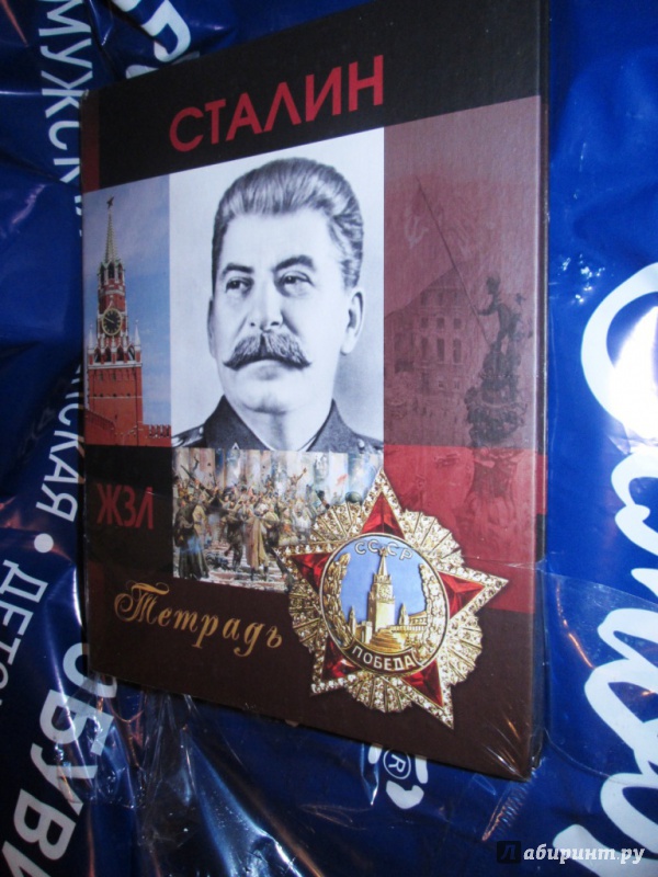 Иллюстрация 11 из 26 для Тетрадь на кольцах "ЖЗЛ. Сталин" (120 листов, А5, клетка) | Лабиринт - канцтовы. Источник: Алонсо Кихано