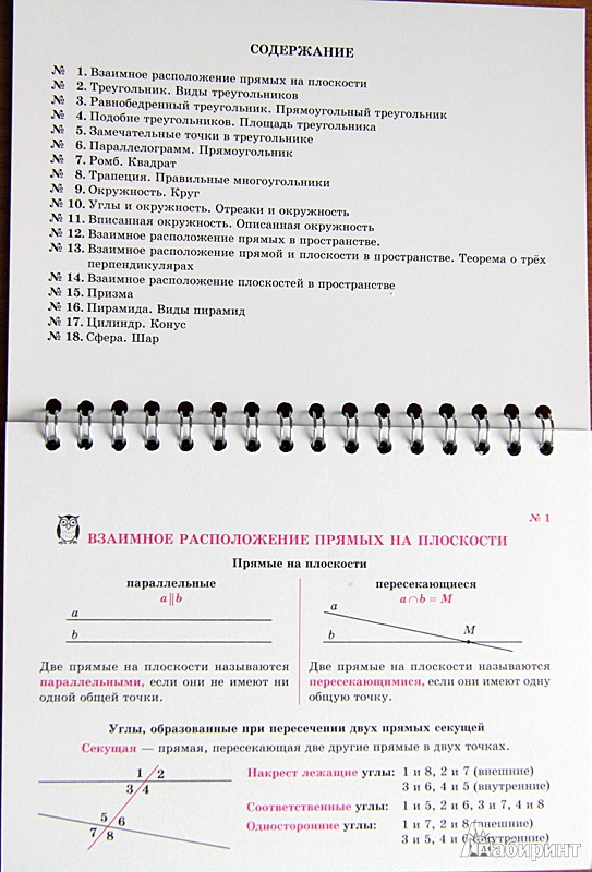 Иллюстрация 2 из 21 для Геометрия на ладони. Памятки и подсказки - Маркова, Подольская | Лабиринт - книги. Источник: Хельга13