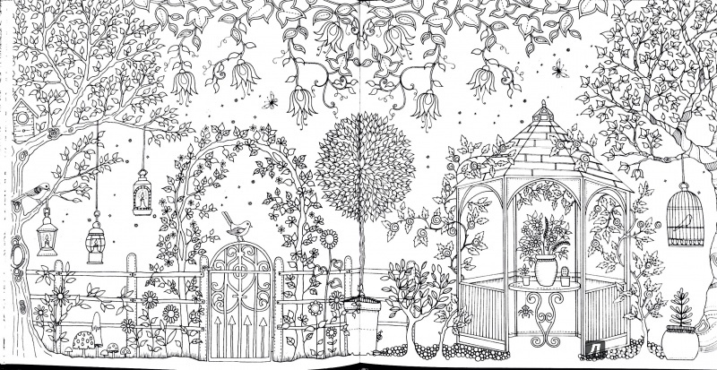 Иллюстрация 24 из 71 для Таинственный сад. Книга для творчества и вдохновения - Джоанна Бэсфорд | Лабиринт - книги. Источник: Никандрова  Анна