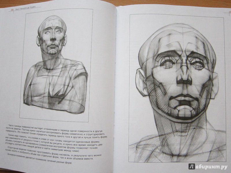 Иллюстрация 21 из 28 для Как рисовать голову человека и капитель. Пособие для поступающих в художественные вузы - Александр Рыжкин | Лабиринт - книги. Источник: Кулыгина  Елена