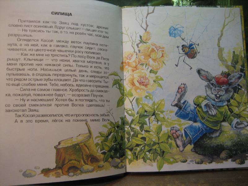 Иллюстрация 6 из 13 для Лесные мошенники - Тамара Крюкова | Лабиринт - книги. Источник: Трухина Ирина