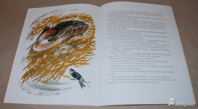Иллюстрация 15 из 27 для Лесные домишки - Виталий Бианки | Лабиринт - книги. Источник: Книжный кот