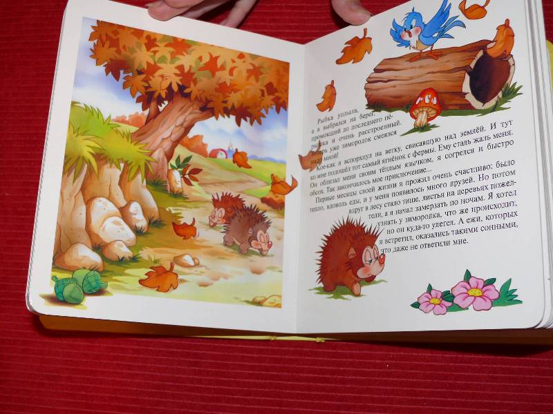 Иллюстрация 27 из 48 для Сказки о зверятах. Окошко в лес | Лабиринт - книги. Источник: OliaO