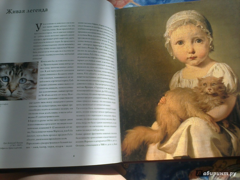 Иллюстрация 5 из 24 для 100 легендарных кошек - Стефано Сальвиати | Лабиринт - книги. Источник: Юлиана  Юлиана
