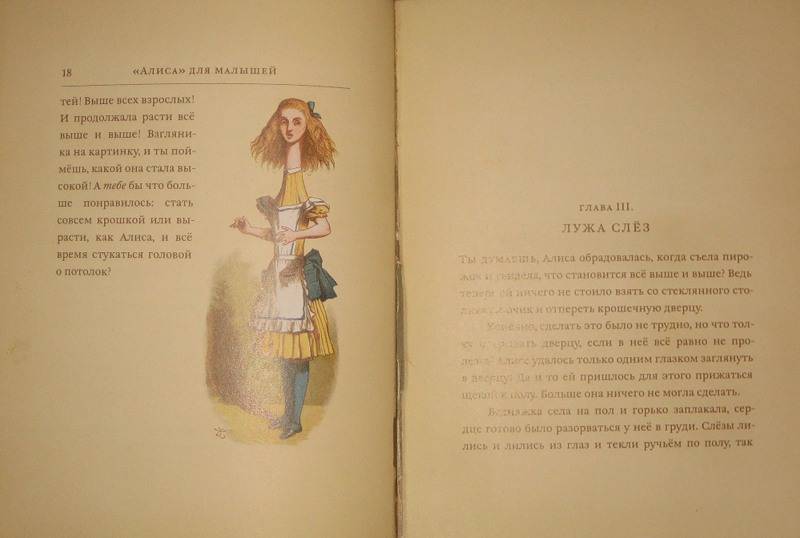 Иллюстрация 4 из 51 для "Алиса" для малышей - Льюис Кэрролл | Лабиринт - книги. Источник: Трухина Ирина