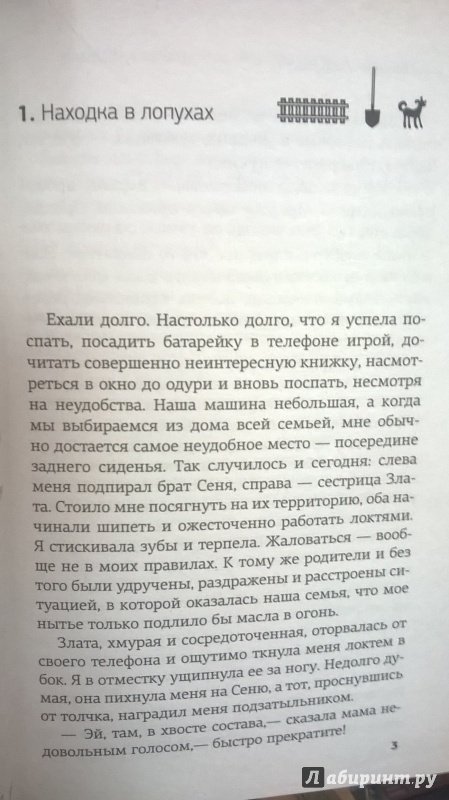 Иллюстрация 19 из 21 для Варвара Смородина против зомби - Георгий Ланской | Лабиринт - книги. Источник: Марина
