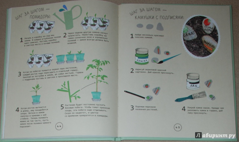 Иллюстрация 27 из 28 для Огород на подоконнике - Линдстрем, Нюберг | Лабиринт - книги. Источник: Книжный кот
