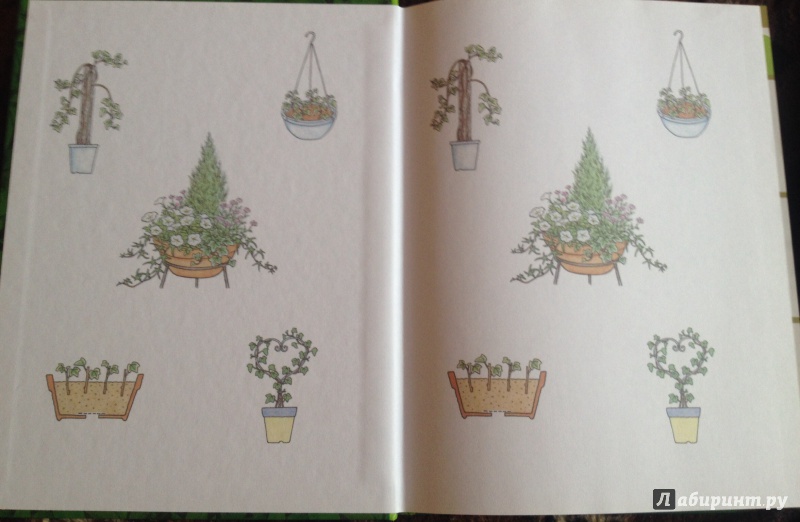 Иллюстрация 3 из 16 для Ваши комнатные растения - Галина Попова | Лабиринт - книги. Источник: Mariya Green
