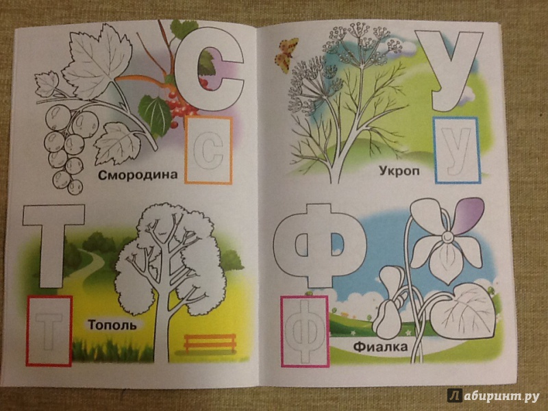 Иллюстрация 9 из 22 для Азбука с наклейками "Растения, овощи и фрукты" | Лабиринт - книги. Источник: Ya Katya