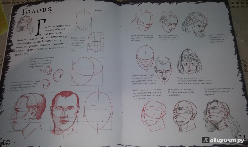 Иллюстрация 11 из 23 для Портреты. Лица и головы - Марк Берджин | Лабиринт - книги. Источник: анна