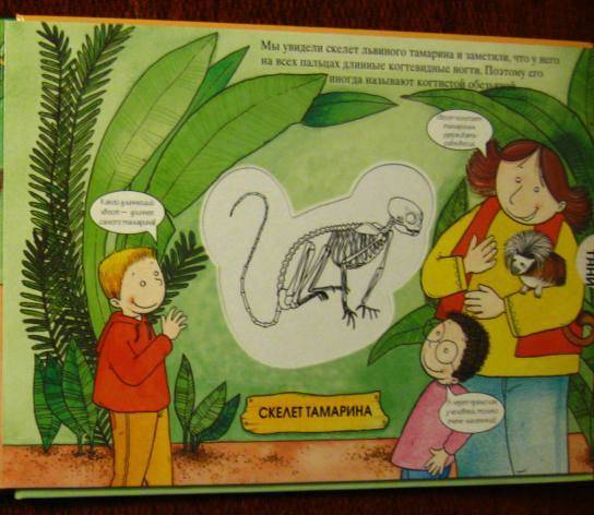Иллюстрация 7 из 9 для Животные тропического леса. Магические скелеты | Лабиринт - книги. Источник: MDL