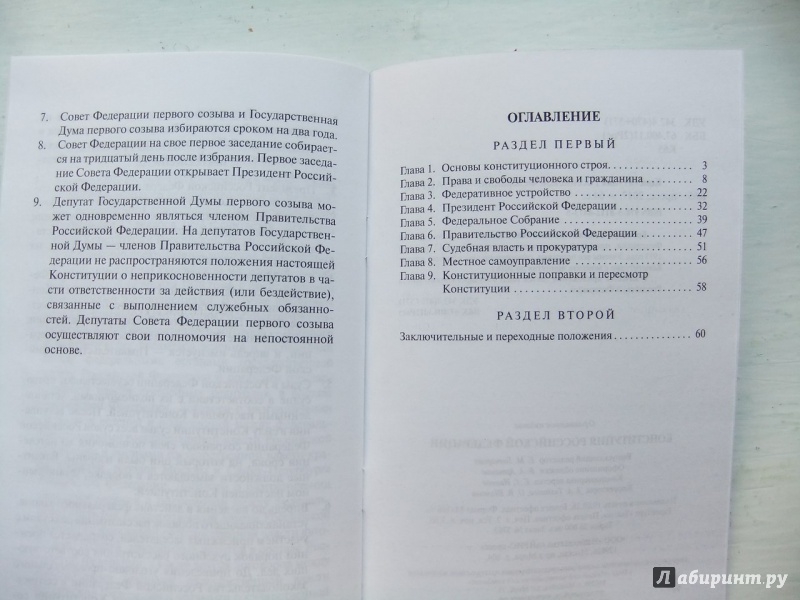 Иллюстрация 7 из 9 для Конституция Российской Федерации | Лабиринт - книги. Источник: Impaler