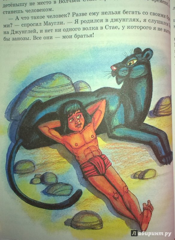 Иллюстрация 6 из 64 для Маугли - Редьярд Киплинг | Лабиринт - книги. Источник: Евстратовы  Ва