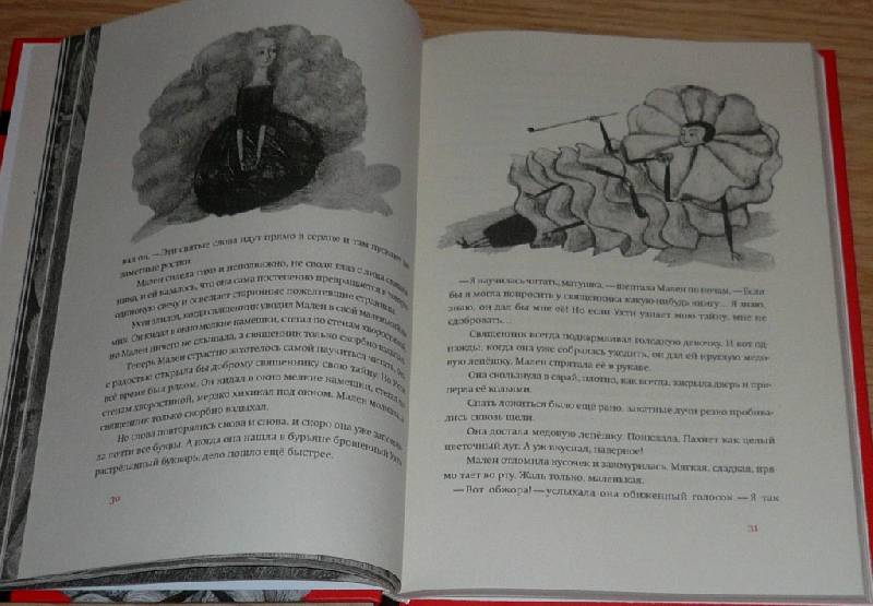 Иллюстрация 17 из 58 для Подземный принц - Софья Прокофьева | Лабиринт - книги. Источник: Pam