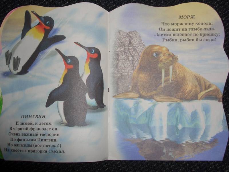 Иллюстрация 2 из 8 для В зоопарке №2 (медведь) - Елена Михайленко | Лабиринт - книги. Источник: sher