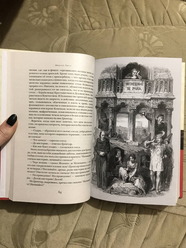 Иллюстрация 46 из 52 для Собор Парижской Богоматери - Виктор Гюго | Лабиринт - книги. Источник: Медведева  Снежанна Сергеевна