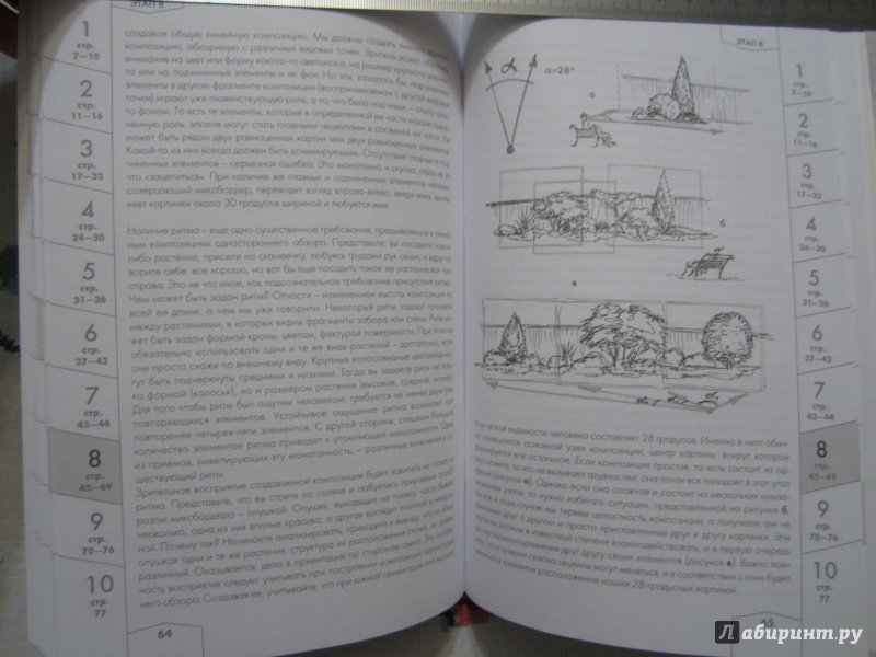 Иллюстрация 18 из 18 для 10 этапов проектирования малого сада - Александр Сапелин | Лабиринт - книги. Источник: A. Fragaria