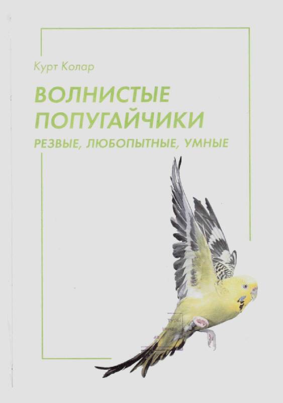 Иллюстрация 1 из 14 для Волнистые попугайчики - Курт Колар | Лабиринт - книги. Источник: Юта