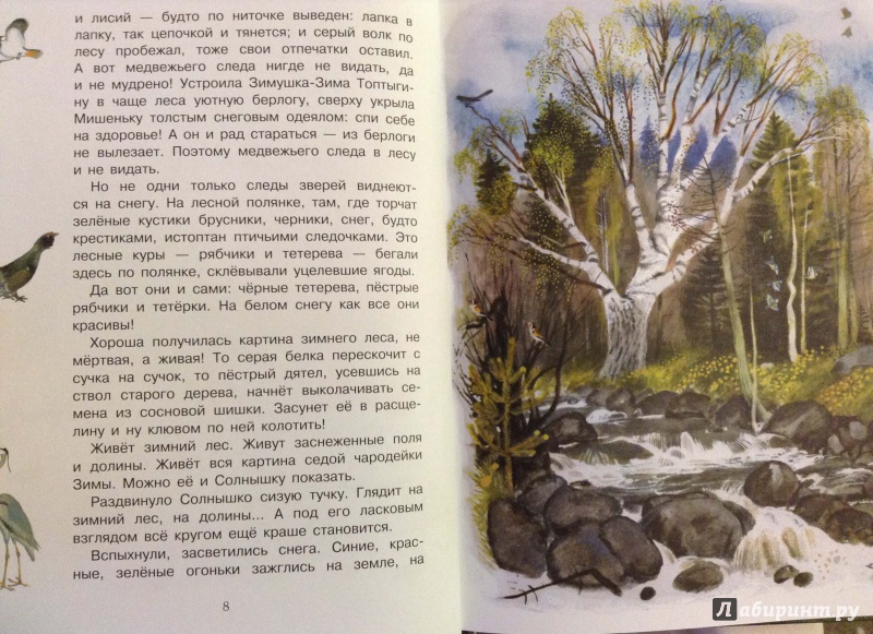 Иллюстрация 24 из 134 для Рассказы о природе для детей - Коваль, Скребицкий, Соколов-Микитов | Лабиринт - книги. Источник: Lapchi