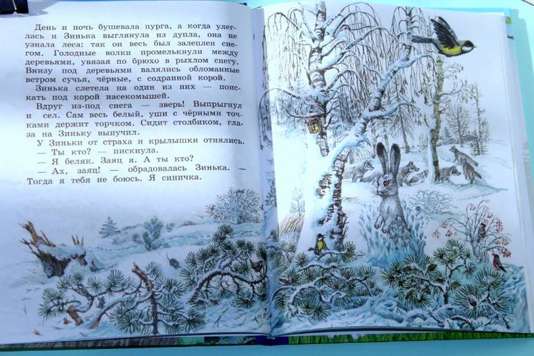 Иллюстрация 38 из 55 для Синичкин календарь - Виталий Бианки | Лабиринт - книги. Источник: Katerina