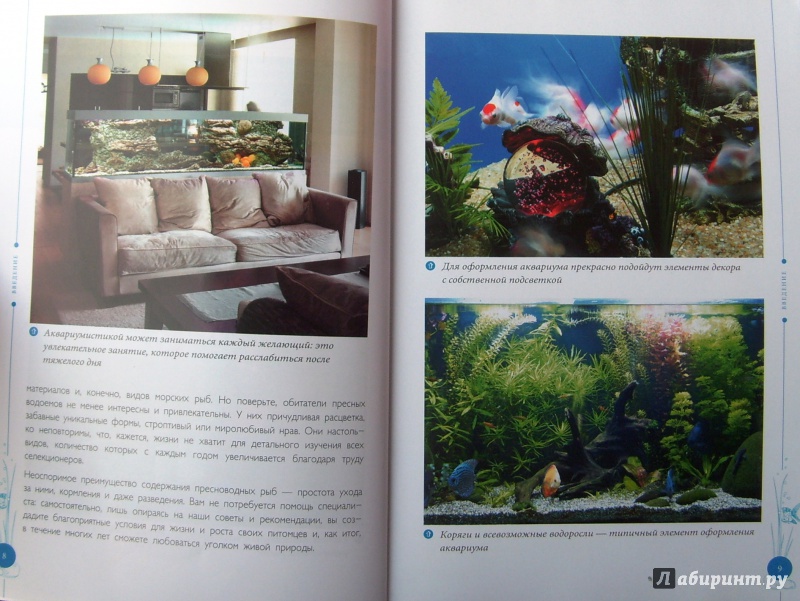 Иллюстрация 7 из 7 для Аквариумные рыбки - Анжелика Ярошевич | Лабиринт - книги. Источник: Соловьев  Владимир