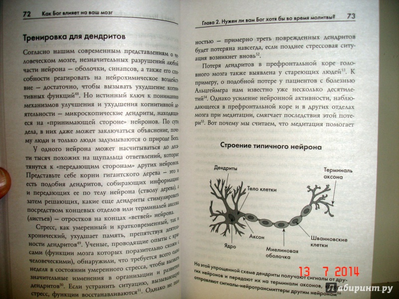Иллюстрация 10 из 12 для Как Бог влияет на ваш мозг. Революционные открытия в нейробиологии - Ньюберг, Уолдман | Лабиринт - книги. Источник: Kassavetes