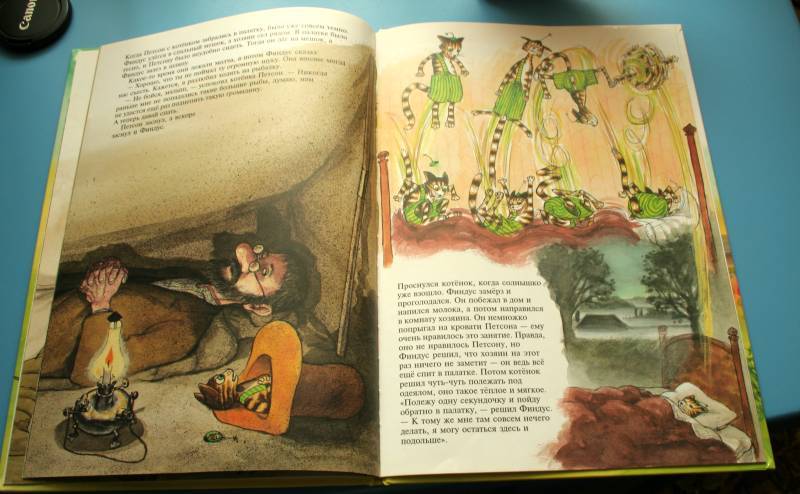 Иллюстрация 32 из 46 для Петсон идет в поход - Свен Нурдквист | Лабиринт - книги. Источник: HappyJul