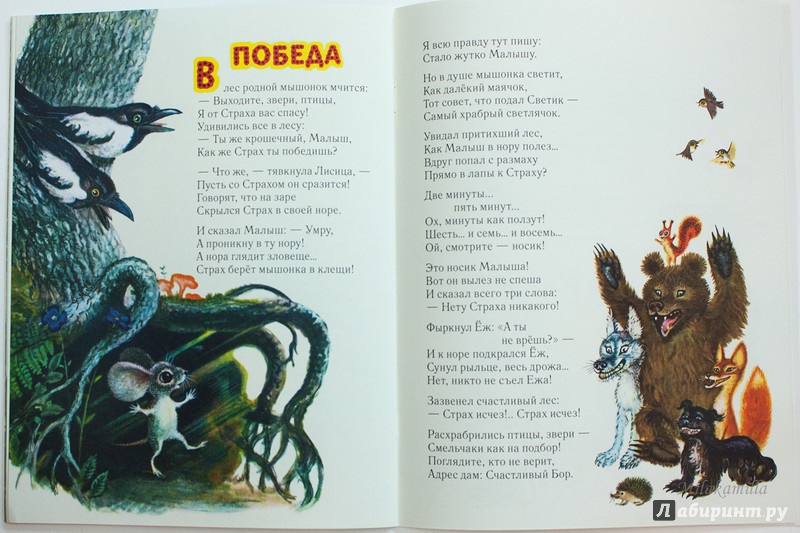Иллюстрация 48 из 109 для Сказка о страхе - Екатерина Серова | Лабиринт - книги. Источник: Букландия