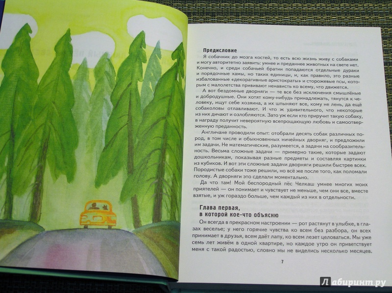 Иллюстрация 27 из 38 для Мои собаки - Леонид Сергеев | Лабиринт - книги. Источник: Shurshun