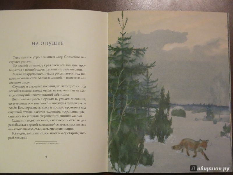 Иллюстрация 13 из 64 для Зима в лесу - Иван Соколов-Микитов | Лабиринт - книги. Источник: anschaffen