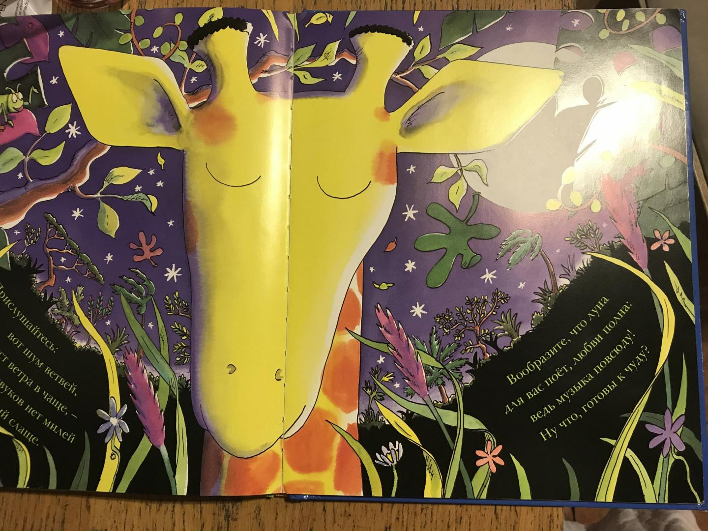 Иллюстрация 46 из 49 для Танцующий жираф - Джайлз Андрэ | Лабиринт - книги. Источник: Давыдова  Светлана