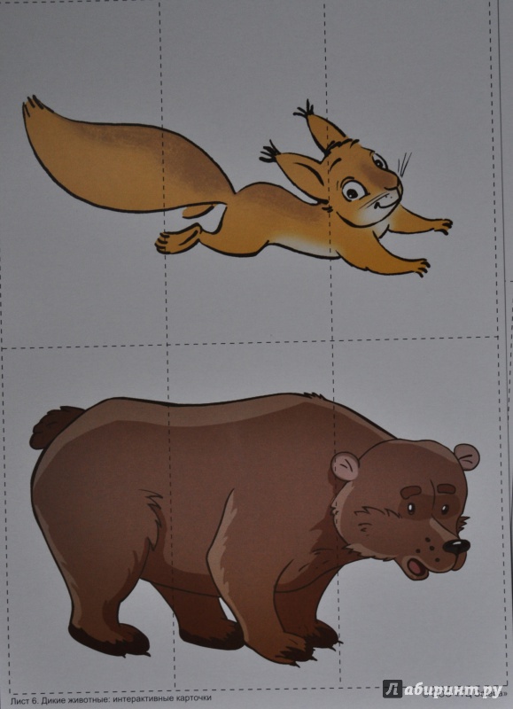 Иллюстрация 6 из 24 для Дикие животные. Интерактивные карточки - Елена Косинова | Лабиринт - книги. Источник: NDusha