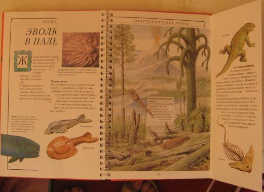 Иллюстрация 9 из 13 для Дискавери: Доисторические миры - Диксон, Чарман | Лабиринт - книги. Источник: Просто мимо проходила
