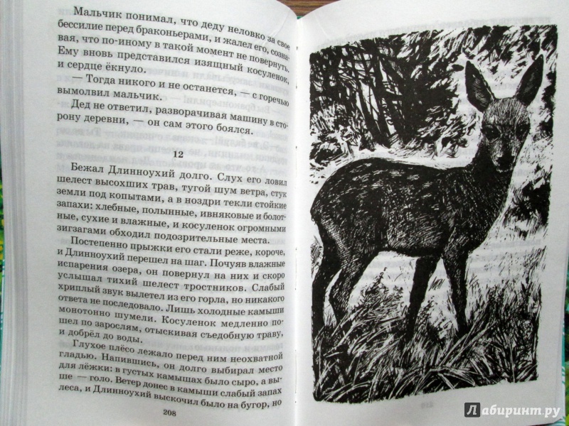 Иллюстрация 10 из 13 для Живая душа - Л. Трутнев | Лабиринт - книги. Источник: Зеленая шляпа