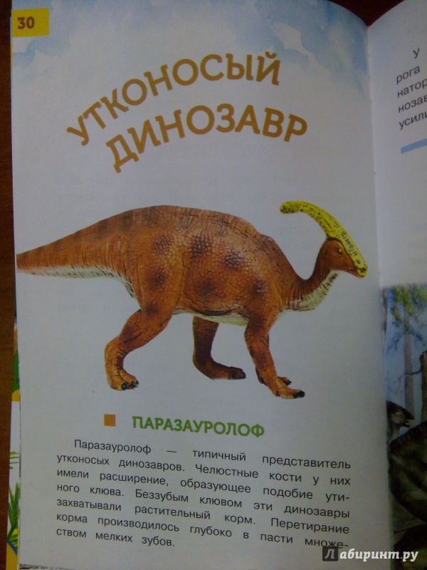 Иллюстрация 13 из 28 для Жили-были динозавры - Александр Тихонов | Лабиринт - книги. Источник: Лабиринт