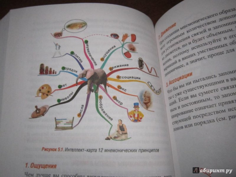 Иллюстрация 18 из 20 для Научите себя думать - Тони Бьюзен | Лабиринт - книги. Источник: Счастливая Елена