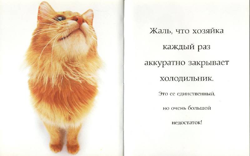 Иллюстрация 8 из 11 для Самые очаровательные кошки | Лабиринт - книги. Источник: ЛиС-а