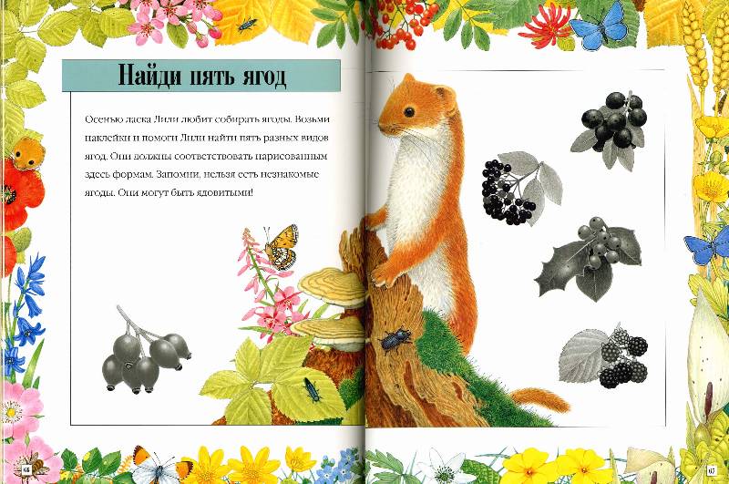 Иллюстрация 17 из 17 для Чудо-наклейки. Медвежонок Бобби. В поле и в лесу - А. Вуд | Лабиринт - книги. Источник: РИВА