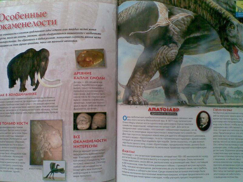 Иллюстрация 14 из 23 для Тираннозавр & Ко - М. Банфи | Лабиринт - книги. Источник: Мельникова  Светлана Сергеевна