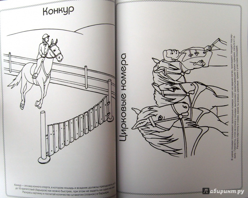 Иллюстрация 20 из 22 для Лошади - Анна Торманова | Лабиринт - книги. Источник: Соловьев  Владимир